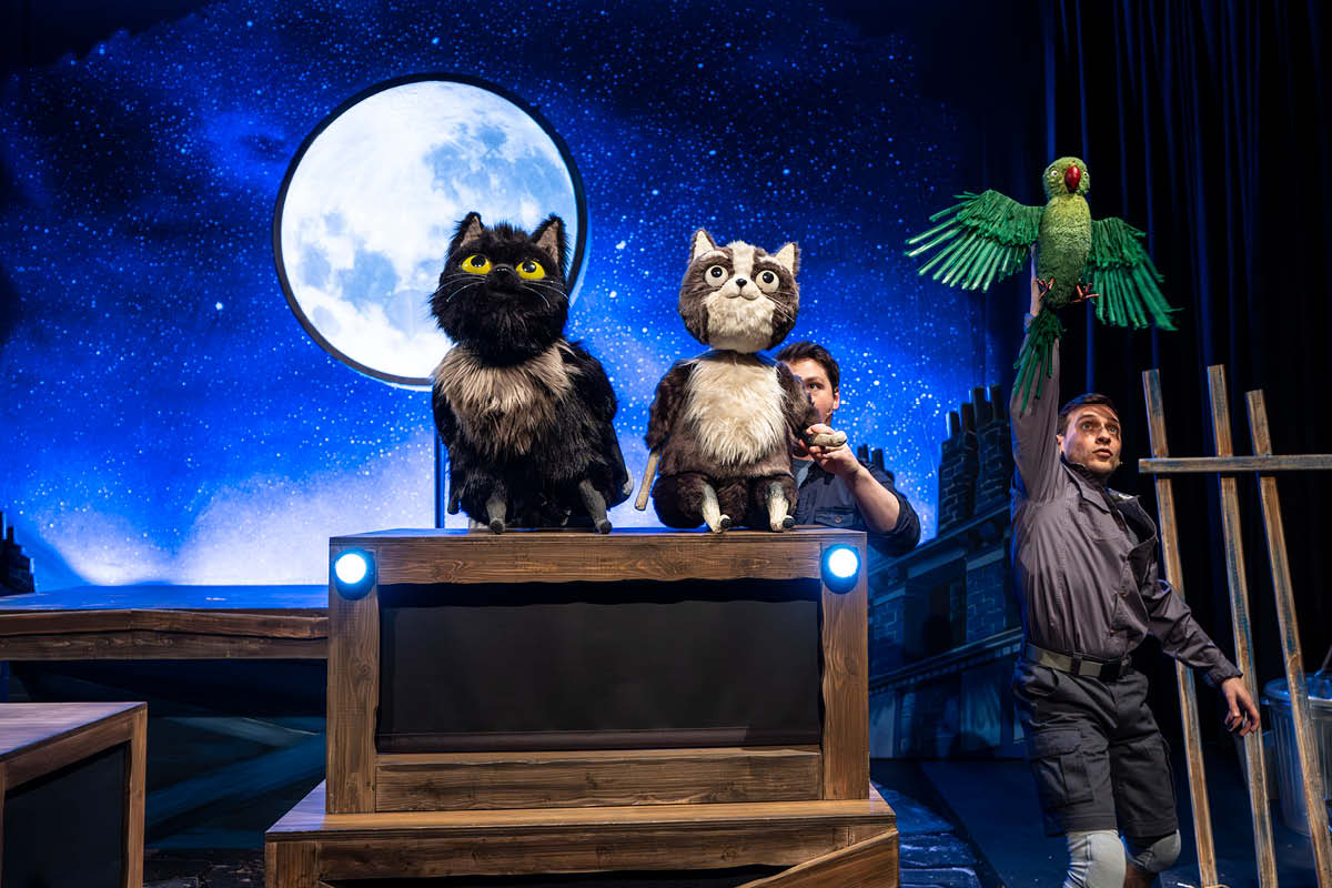 TOto the ninja cat, dermot o'leary, yvonne arnaud theatre, guildford, surrey, kids theatre, kids book, childrens books, guide to surrey, guide to guildford, whats on, family events,