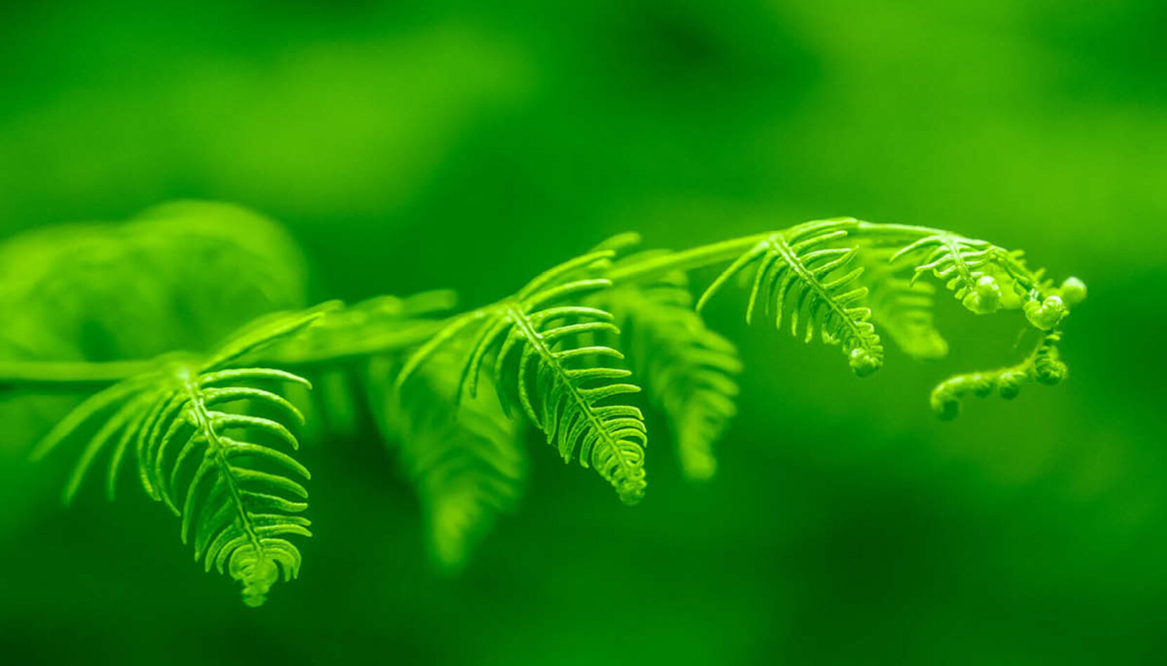 KEEP it green, eco-friendly, eco-friendly events in surrey, eco-friendly ideas in surrey, sustainability, environment. local conservation, surrey wildlife trust, rewilding,