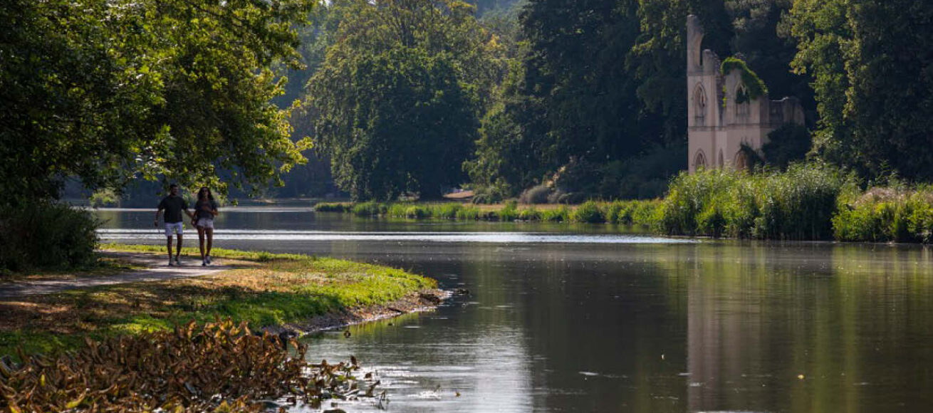 pause, notice, connect, painshill park, summer 2026, things to do at painshill park, cobham, visit paisnhill park, visit surrey, whats on, guide to whats on, guide to surrey, guide to cobham, painshill park this summer,