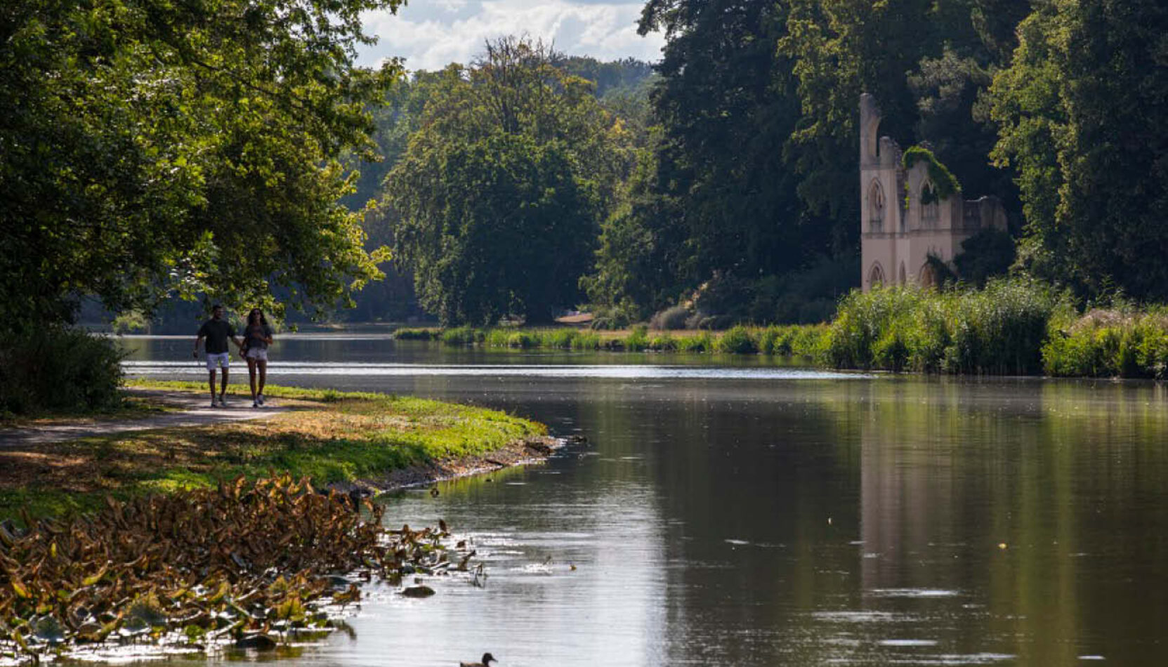 pause, notice, connect, painshill park, summer 2026, things to do at painshill park, cobham, visit paisnhill park, visit surrey, whats on, guide to whats on, guide to surrey, guide to cobham, painshill park this summer,