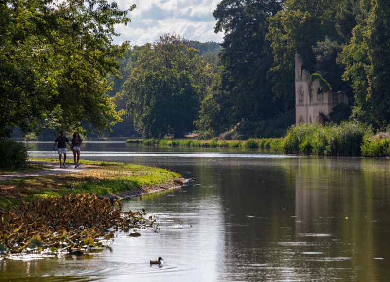 pause, notice, connect, painshill park, summer 2026, things to do at painshill park, cobham, visit paisnhill park, visit surrey, whats on, guide to whats on, guide to surrey, guide to cobham, painshill park this summer,
