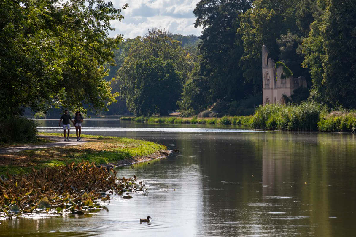 pause, notice, connect, painshill park, summer 2026, things to do at painshill park, cobham, visit paisnhill park, visit surrey, whats on, guide to whats on, guide to surrey, guide to cobham, painshill park this summer,