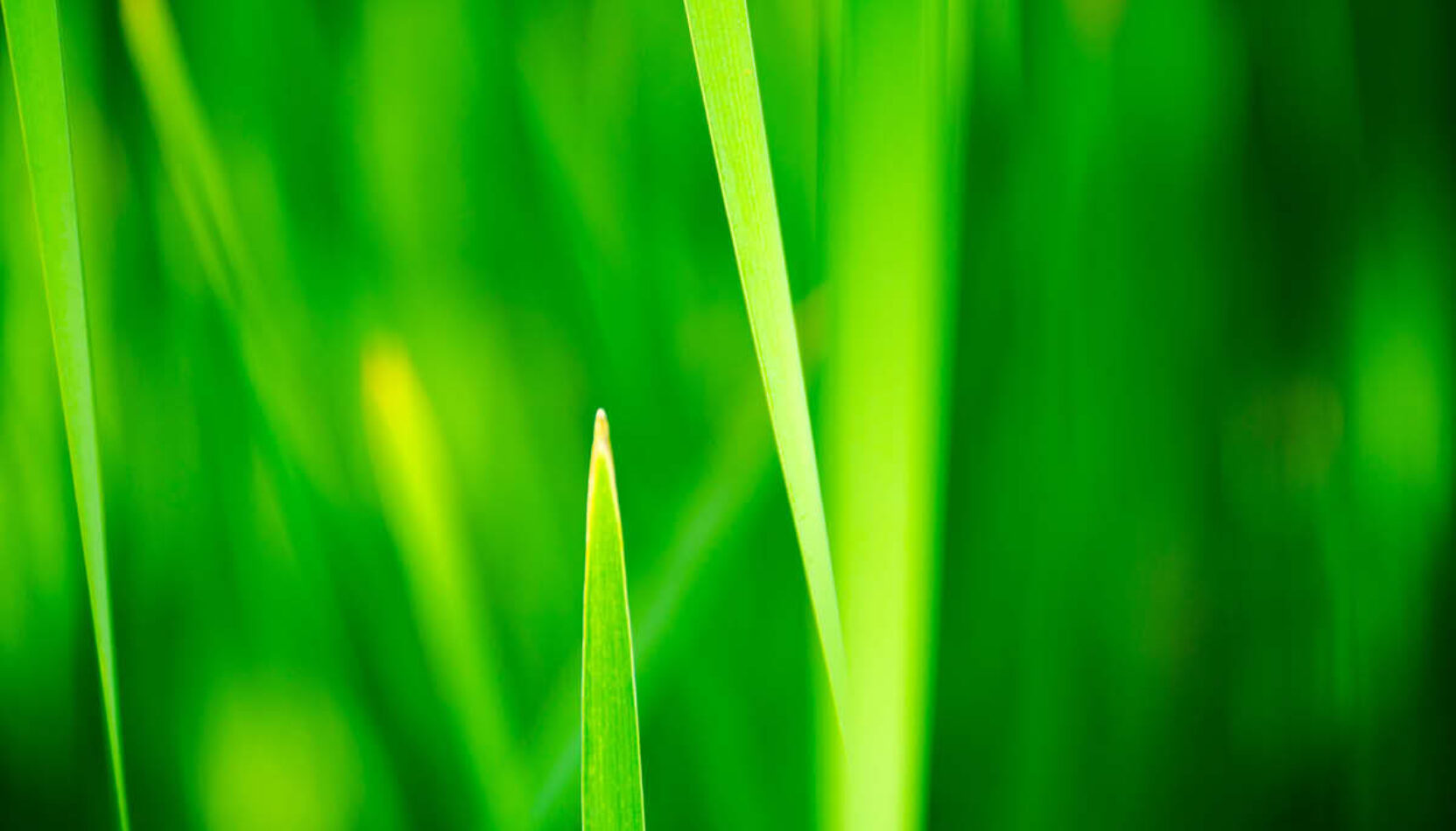 keep it green, eco-friendly, eco-friendly events in surrey, eco friendly experiences in surrey, guide to surrey, visit surrey, sustainabilty surrey, eco-surrey, whats on guide to whats on, guide to surrey, guide to guildford,