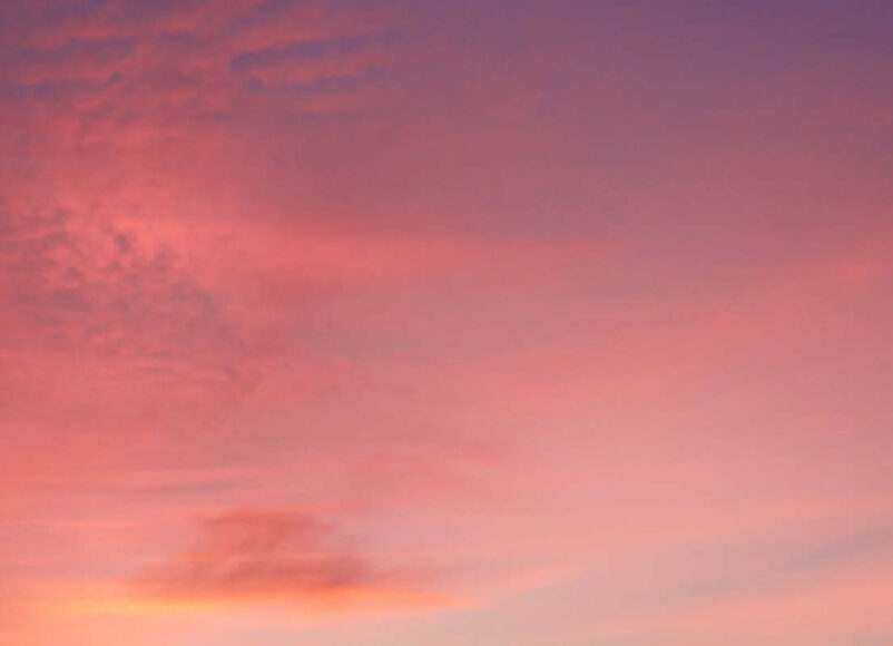 well-good wellbieng, wellbeing events in surrey, whats on in surrey, guidew to surrey, guide to whats on in surrey, forest bathing, autumn equinox, yoga, meditation, forest bathing, sound healing,