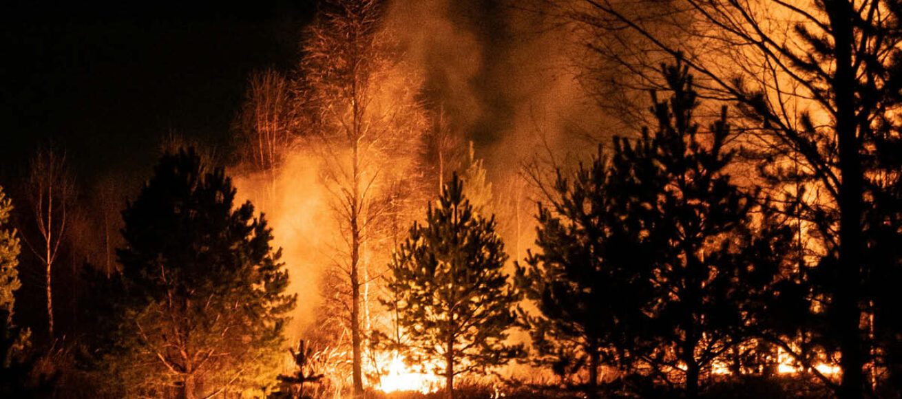 wildfires, surrey, prevent wildfires in surrey, surrey news, news in surrey, summer 2026, august 2026, prevent fires in surrey, win a luxury hamper, surrey county council, move to surrey, guide to surrey, visit surrey,