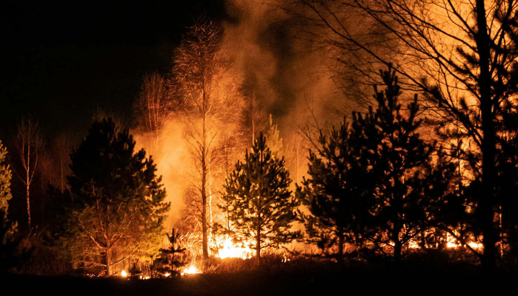 wildfires, surrey, prevent wildfires in surrey, surrey news, news in surrey, summer 2026, august 2026, prevent fires in surrey, win a luxury hamper, surrey county council, move to surrey, guide to surrey, visit surrey,