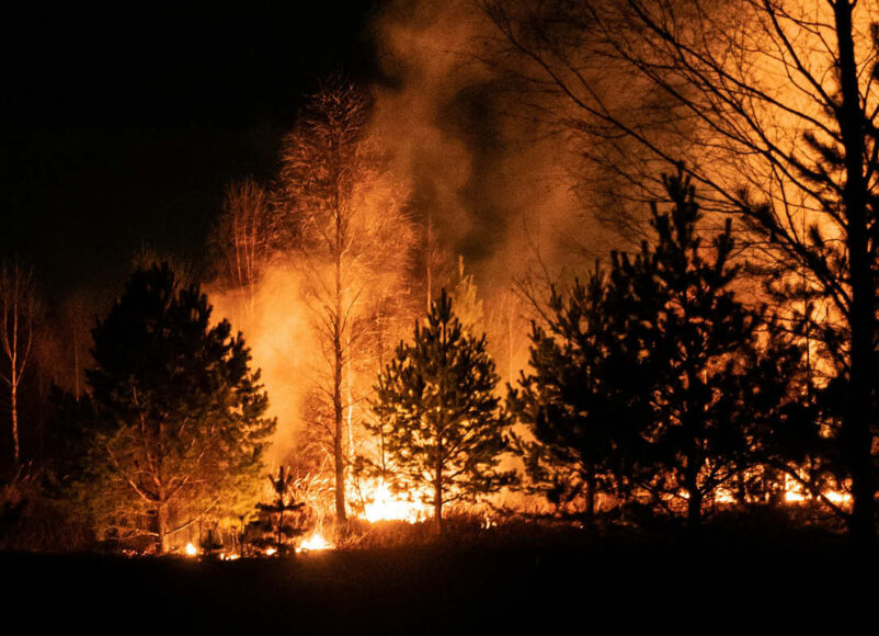wildfires, surrey, prevent wildfires in surrey, surrey news, news in surrey, summer 2026, august 2026, prevent fires in surrey, win a luxury hamper, surrey county council, move to surrey, guide to surrey, visit surrey,