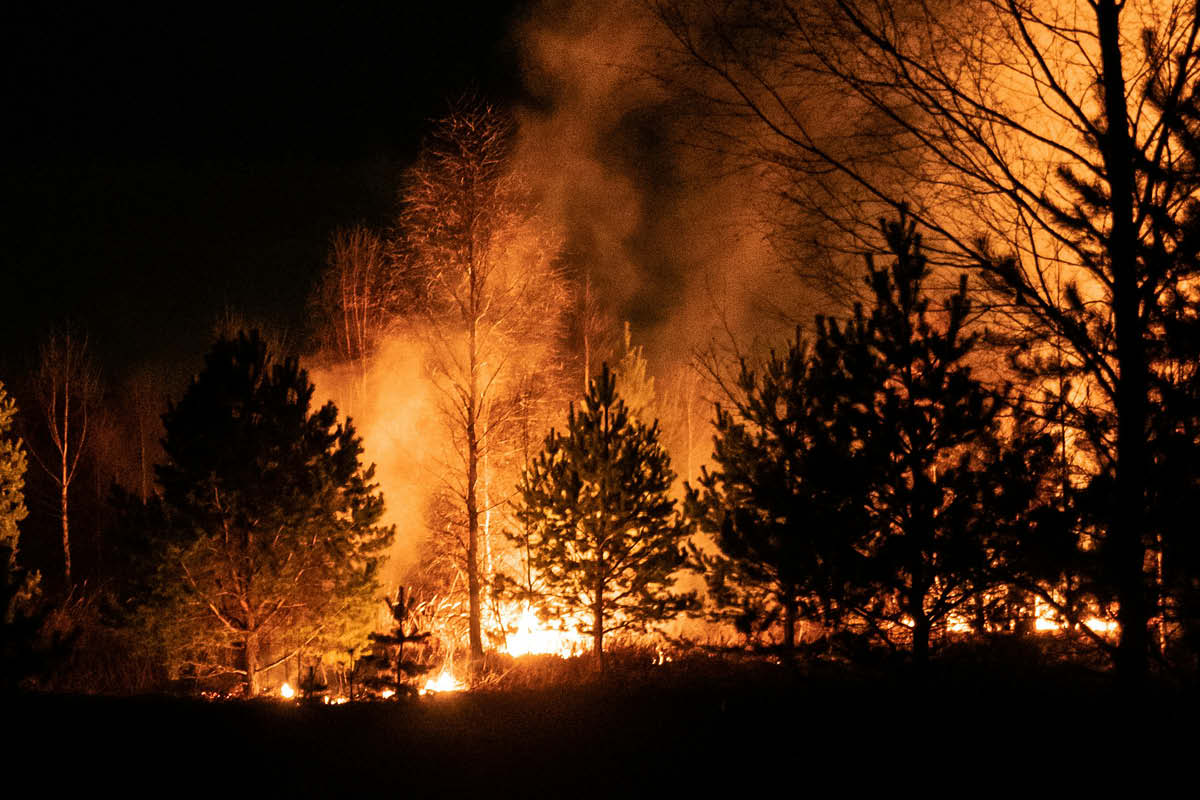 wildfires, surrey, prevent wildfires in surrey, surrey news, news in surrey, summer 2026, august 2026, prevent fires in surrey, win a luxury hamper, surrey county council, move to surrey, guide to surrey, visit surrey,