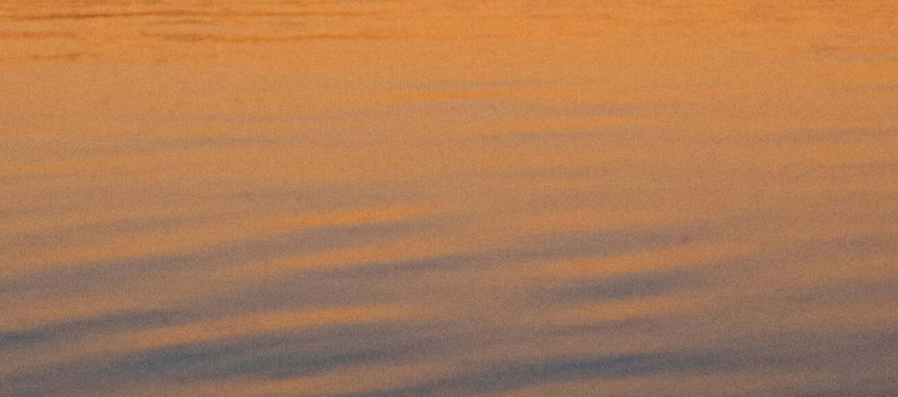 well good wellbeing, wellbeing events, wellbeing feature, wellbeimng article, mindfulness, womens circles, meditation, gong bath, sound bath, forest bathing, surrey, guide to surrey, guide to whats on in surrey, visit surrey, guide to residental,