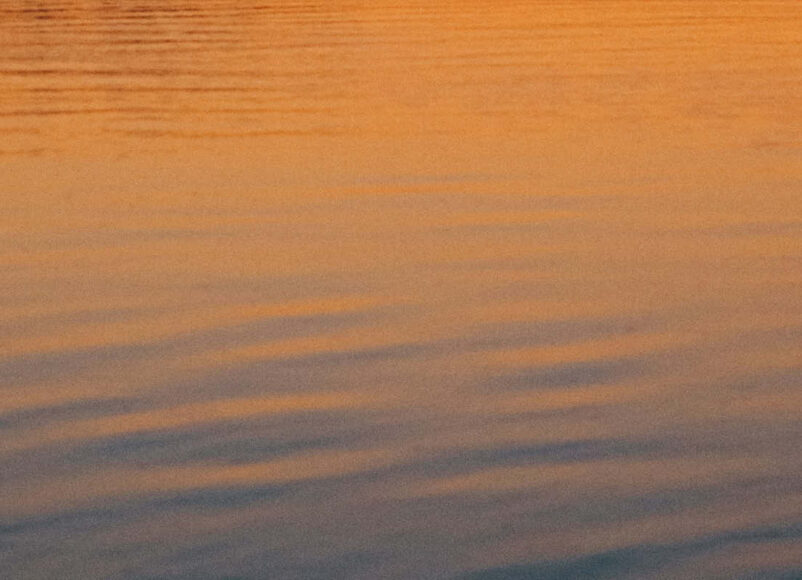 well good wellbeing, wellbeing events, wellbeing feature, wellbeimng article, mindfulness, womens circles, meditation, gong bath, sound bath, forest bathing, surrey, guide to surrey, guide to whats on in surrey, visit surrey, guide to residental,
