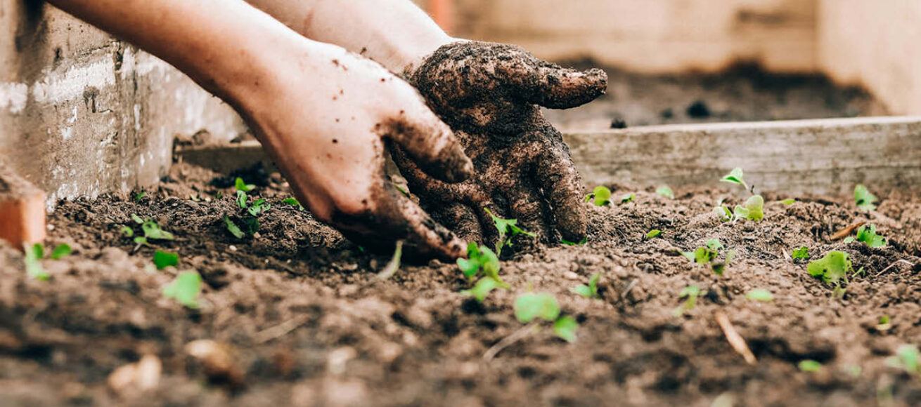 ECO SCHOOLS surrey eco schools, surrey best for eco schools, eco friendly schools, move to surrey, surrey schools, education news surrey,