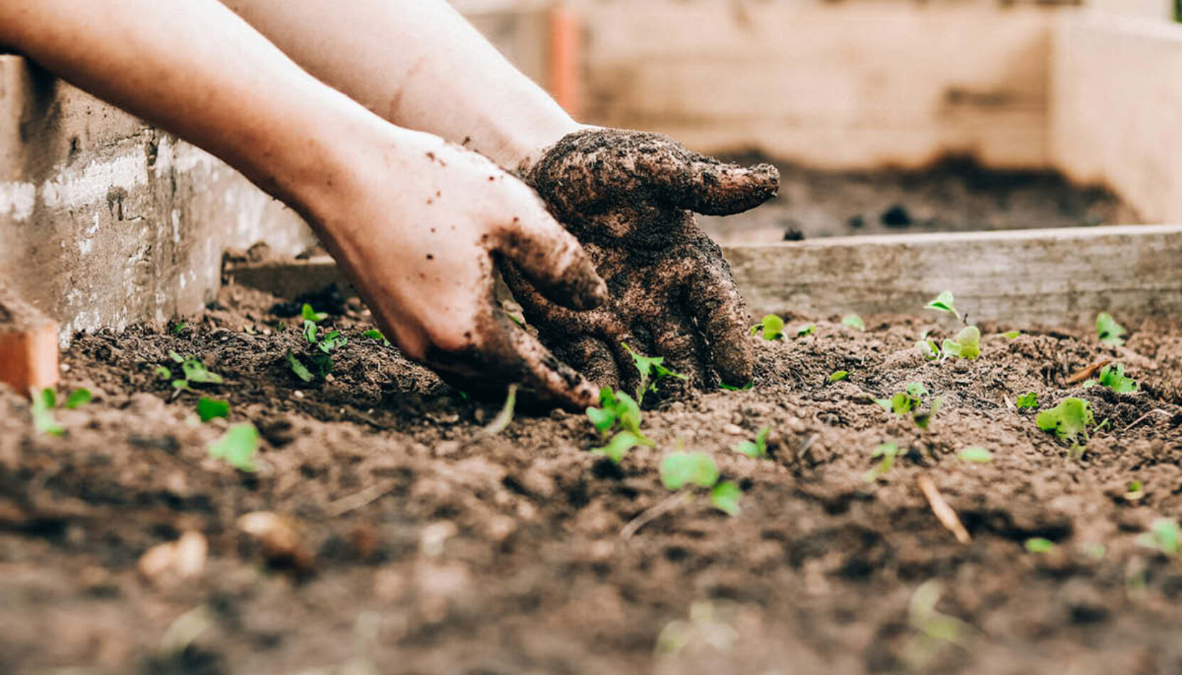 ECO SCHOOLS surrey eco schools, surrey best for eco schools, eco friendly schools, move to surrey, surrey schools, education news surrey,