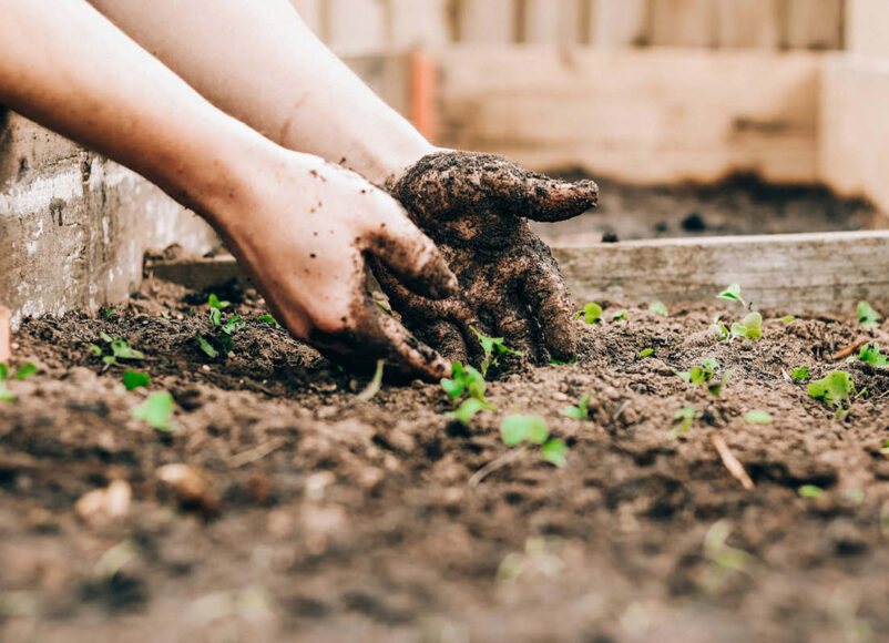 ECO SCHOOLS surrey eco schools, surrey best for eco schools, eco friendly schools, move to surrey, surrey schools, education news surrey,